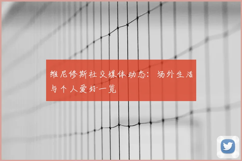 维尼修斯社交媒体动态：场外生活与个人爱好一览